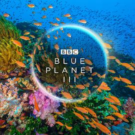 蓝色星球 第三季 Blue Planet Season 3